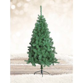 ALBERO ETNA VERDE VARIE MISURE
