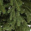 ALBERO NEPAL VERDE VARIE MISURE