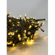 CATENA TL - C 200 LED PER ESTERNO CON MEMORY CONTROLLER, GIOCHI DI LUCE E TRASFORMATORE