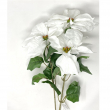 STELLA DI NATALE CESPUGLIO BIANCO CM 60 H