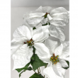 STELLA DI NATALE CESPUGLIO BIANCO CM 60 H