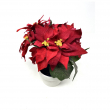 STELLA DI NATALE ROSSA CON VASO BIANCO CM 20 ALTEZZA