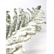 RAMO FELCE INNEVATO CM 84 ALTEZZA