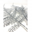 RAMO DOLLY FELCE ARGENTO CM 78 ALTEZZA