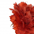 PICK ROSA FRISE' ROSSO CM 14 X 14 X 26 H