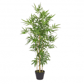 PIANTA DI BAMBOO CM130 H CON VASO