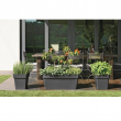 VASO MITU PAC CM 40 X 40 X 40 H CON FORI