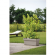 CASSETTA MITU PAC CM 50 X 18 X 16,5 H CON FORI