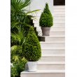 VASO MITU PAC CM 30 x27 H CON FORI