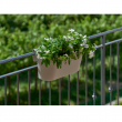 CASSETTA UP CM 50 X 21 X 23H