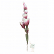 STELO 14 MAGNOLIE CON FOGLIE CM 124 H