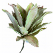 RAMO PIANTA TROPICALE CM 89H