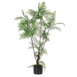 PIANTA FELCE CON VASO CM 108 H
