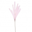 RAMO PAVONE MALVA