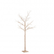 ALBERO TIMBER CHAMPAGNE VARIE MISURE