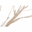 ALBERO TIMBER CHAMPAGNE VARIE MISURE