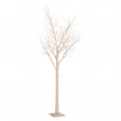 ALBERO TIMBER CHAMPAGNE VARIE MISURE