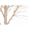 ALBERO TIMBER CHAMPAGNE VARIE MISURE