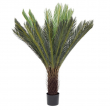 PIANTA PALMA CYCAS CON VASO CM 120 H CON 28 FOGLIE