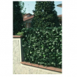 SIEPE ARTIFICIALE PVC MT 3 X 1H CON OMBREGGIANTE