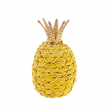 ANANAS GIALLO DUE MISURE