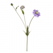 FIORE SCABIOSA DIVERSI COLORI CM 51H