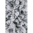 ALBERO SALISBURGO INNEVATO VARIE MISURE