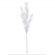 RAMO PAMPAS CM 100H DIVERSI COLORI