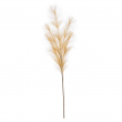 RAMO PAMPAS CM 100H DIVERSI COLORI