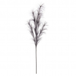 RAMO PAMPAS CM 100H DIVERSI COLORI