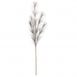 RAMO PAMPAS CM 100H DIVERSI COLORI