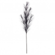 RAMO PAMPAS CM 100H DIVERSI COLORI