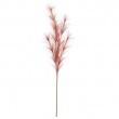 RAMO PAMPAS CM 100H DIVERSI COLORI
