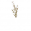 RAMO PAMPAS CM 100H DIVERSI COLORI