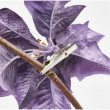 FIORE STELLA DI NATALE VELLUTATA LILLA CON CLIP DIAMETRO CM 16