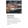 TRAVELER STEALTH BARBECUE A GAS TRASPORTABILE