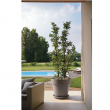 VASO MITU PAC CM 60 X 54H CON FORI