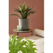 VASO TRESSAGE CILINDRICO ANTRACITE DIVERSE MISURE