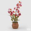 FIORE ORCHIDEA DENDER CON VASO DUE MISURE