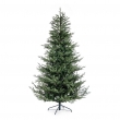 ALBERO DENALI VARIE MISURE