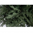 ALBERO DENALI VARIE MISURE