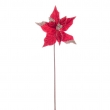 PICK POINSETTIA HADLEY DIVERSI COLORI