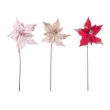 PICK POINSETTIA HADLEY DIVERSI COLORI
