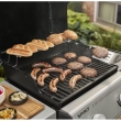 BARBECUE SPIRIT E-210 LP A GAS