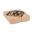 CORONA AILEEN VERDE NATURALE CM 34