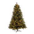 ALBERO BERKSHIRE CM 270H