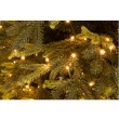 ALBERO BERKSHIRE CM 270H