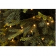 ALBERO BERKSHIRE CM 270H