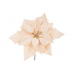 PICK POINSETTIA JANEL CHAMPAGNE CM 23H