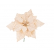 PICK POINSETTIA JANEL CHAMPAGNE CM 23H
